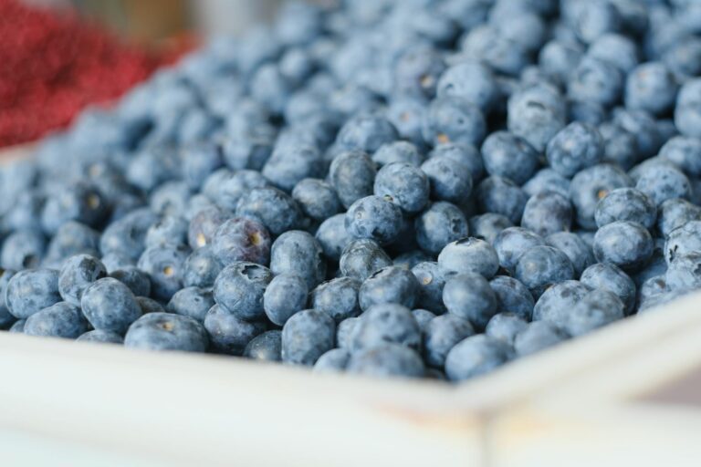 이소플라본 추천 — 갱년기 증상 완화에 도움되는 제품